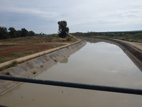 The [irrigation] Canal of the Rio Guadalquivir.